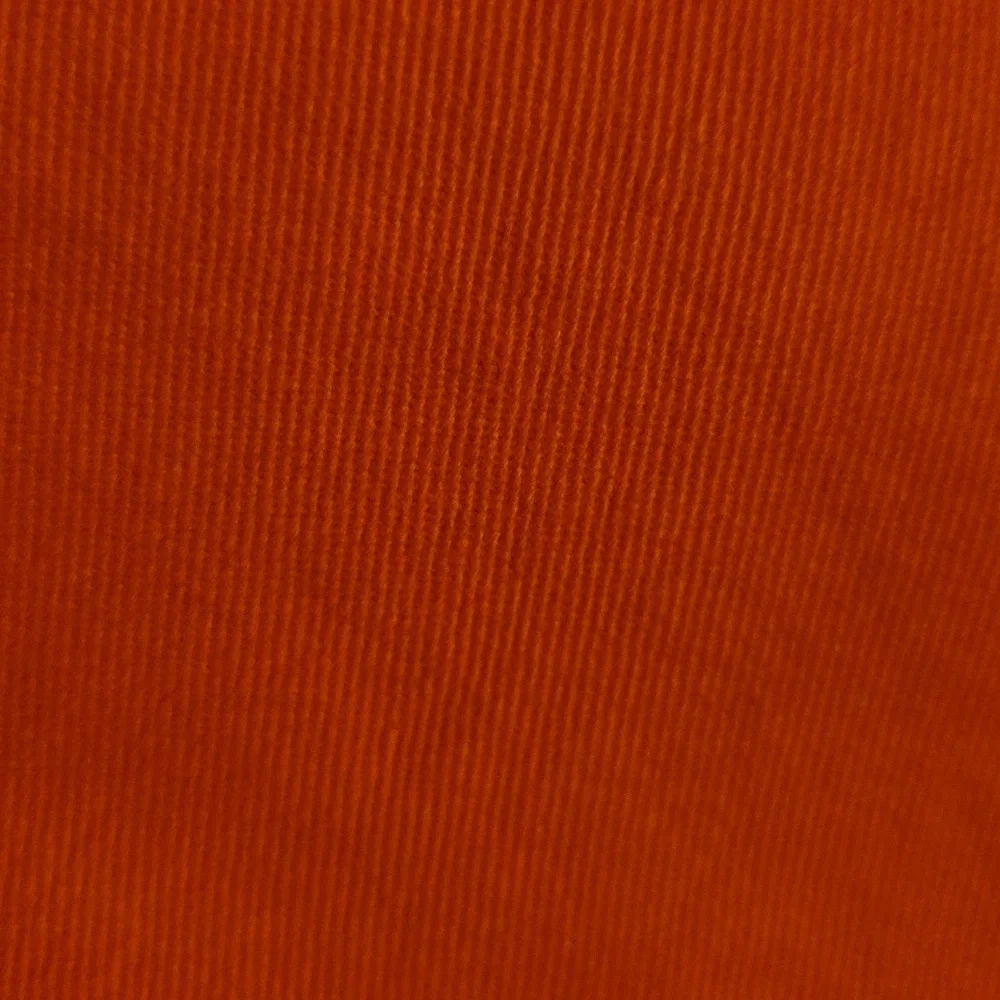 LOFT Short - Picture 4 of 7